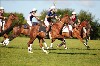 UKPA NC SAT_2190
